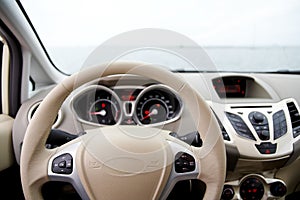 Steering wheel and dashboard