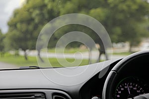 Steering wheel inside of a car with beautiful road in the green