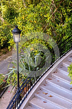 Steet Lamp , Garden,