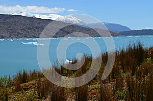 Steffen glacier in Campo de Hielo Sur Southern Patagonian Ice Field, Chilean Patagonia