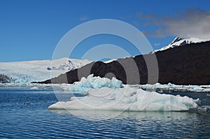 Steffen glacier in Campo de Hielo Sur Southern Patagonian Ice Field, Chilean Patagonia photo