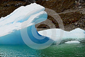 Steffen glacier in Campo de Hielo Sur Southern Patagonian Ice Field, Chilean Patagonia photo