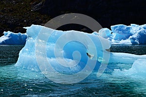 Steffen glacier in Campo de Hielo Sur Southern Patagonian Ice Field, Chilean Patagonia photo