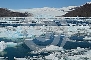 Steffen glacier in Campo de Hielo Sur Southern Patagonian Ice Field, Chilean Patagonia photo