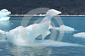 Steffen glacier in Campo de Hielo Sur Southern Patagonian Ice Field, Chilean Patagonia photo