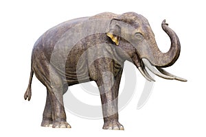 Stegolophodon. four ivory extinct primitive elephant