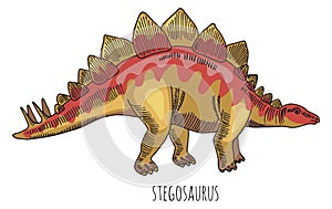 Stegosaur dinosaur color drawing. Wild ancient herbivore