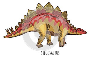Stegosaur dinosaur color drawing. Wild ancient herbivore photo