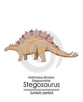 Stegosaurus