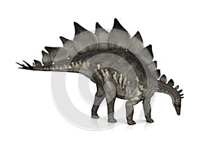 Stegosaurus