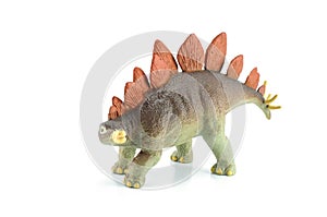 Stegosaurus dinosarus toy