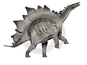 Stegosaurus dinosaur - 3d render