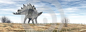 Stegosaurus dinosaur in the desert - 3D render