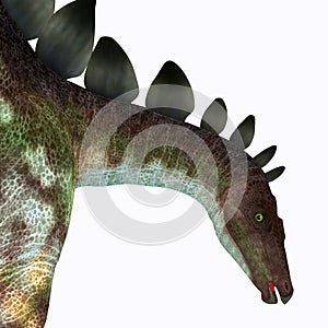 Stegosaurus Dinosaur Head