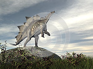 Stegosaurus dinosaur on a rock - 3D render
