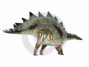 Stegosaurus Dinosaur Side Profile