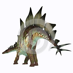 Stegosaurus Dinosaur Tail