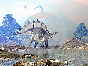 Stegosaurus dinosaur walking - 3D render