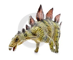 Stegosaurus, genus of armored dinosaur.
