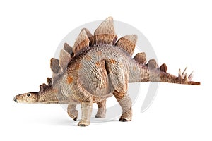Stegosaurus, genus of armored dinosaur. photo