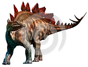 Stegosaurus from the Jurassic era 3D illustration