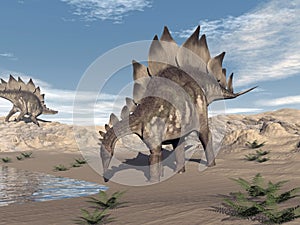 Stegosaurus near water - 3D render