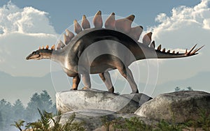 Stegosaurus on the Rocks