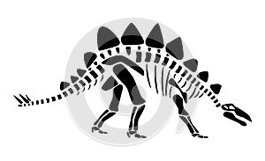 Stegosaurus skeleton . Silhouette dinosaurs . Side view . Vector