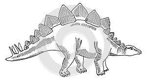 Stegosaurus sketch. Ancient giant herbivore. Dinosaur drawing