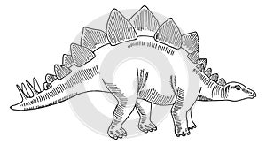Stegosaurus sketch. Ancient giant herbivore. Dinosaur drawing photo