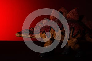 Stegosaurus with spot light on the head and red light on background