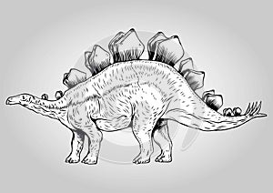 Stegosaurus Walk Alone Prehistoric Dinosaurs Vector Illustration