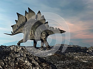 Stegosaurus walking on the hill - 3D render