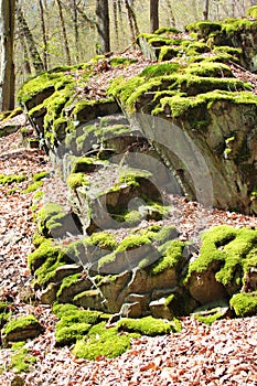 Steinicht, the landscape conservation area along the White Elster river. It is a popular hiking and climbing destination in the