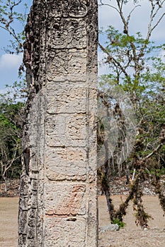 Stela with mayan hieroglyphs at the archaeological site Copan, Hondur