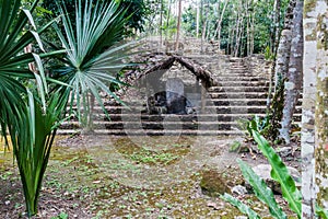 Stela at the ruins of the Mayan city Coba, Mexi