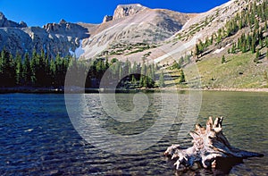 Stella Lake and driftwood, Great Basin National Park