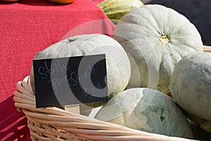 Stella squash in a basket at the farmers market with sign