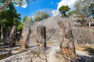 Stellae and Pyramid in Calakmul, Mexico