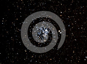 Stellar Cluster M11