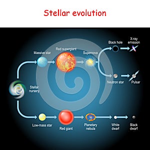 Stellar evolution. Life cycle of a star