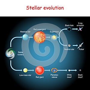 Stellar evolution. Life cycle of a star photo