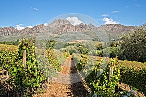 Stellenbosch, South Africa