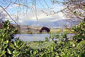 Stellenbosch View