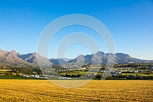 Stellenbosch Wine Country photo