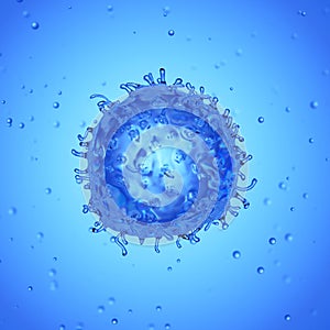 a stem cell