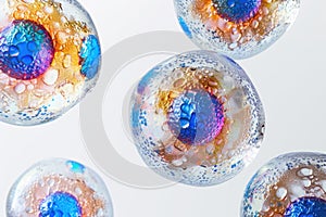 Stem cell, the central foundation for regeneration and repair processes in the complex biological systems of living photo