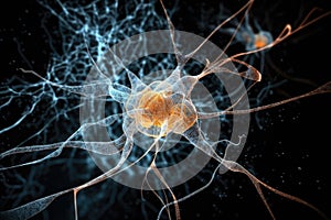 stem cell-derived neuron firing in the brain