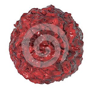 Stem cell isolated on white background