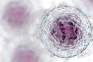 Stem Cell with protein cluster, deconstructing stem cell